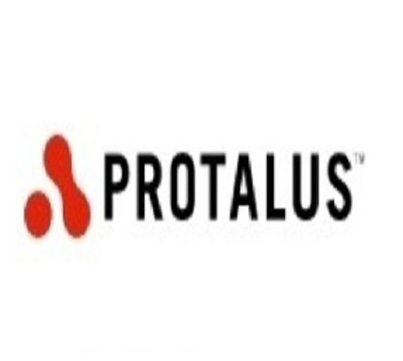 Protalus screenshot