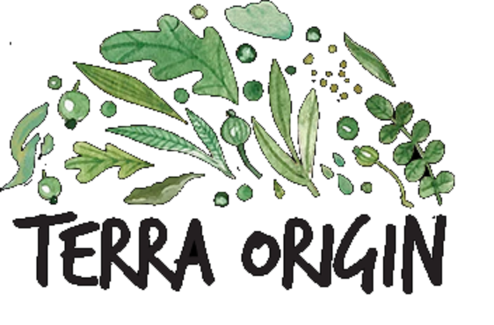 Terra Origin screenshot