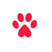 Paw screenshot