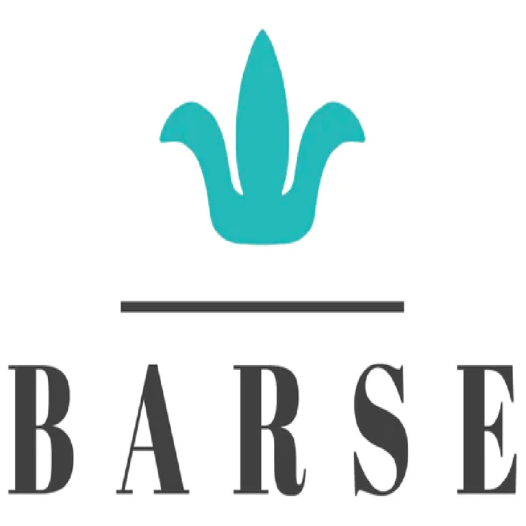 Barse screenshot
