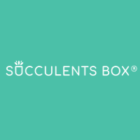 Succulents Box screenshot